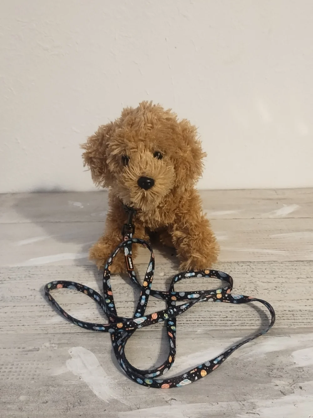 Plush Dog with Space Themed Leash toy plush good condition